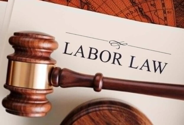 The Labour Relations Act: Protecting Employee Rights and Promoting Fair Labour Practices