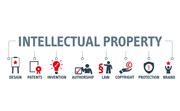 How Intellectual Property Experts Protect Innovation?