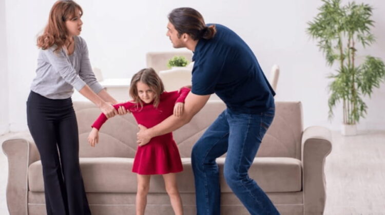 How a Parenting Arrangement Lawyer in Newcastle Can Help You?